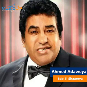 Bab El Shaareya by Ahmed Adaweya