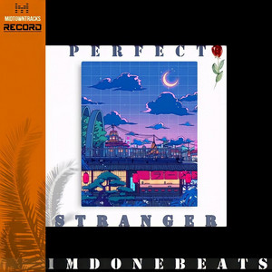 Perfect Stranger
