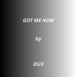 Got Me Now by DUX