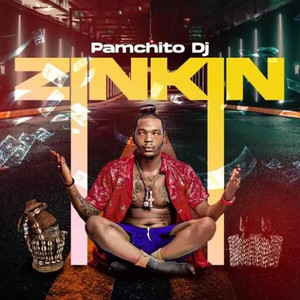 Pamchito DJ - Zinkin