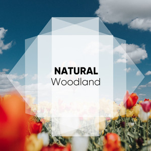 # 1 Album: Natural Woodland album