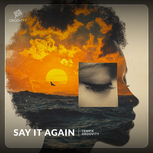 Say It Again by TEMP!E, Groovity