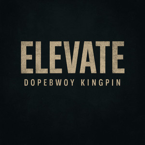 Elevate by Dopebwoy Kingpin