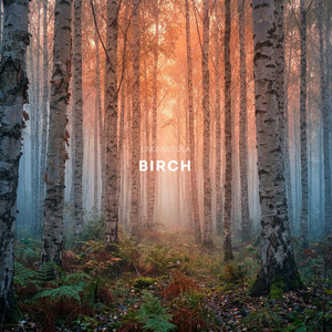 Birch by Lake Nebula