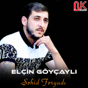 Elcin Goycayli - Şəhid Fəryadı