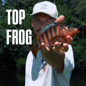 Top Frog by Rocco Elliot