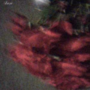 Rose petals by Bazii