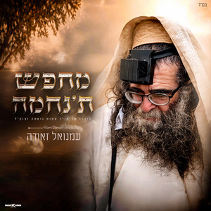 מחפש תנחמה by עמנואל זאודה