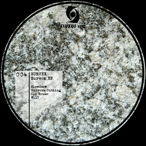 SURVEX cover