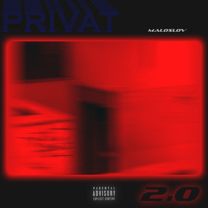 Обкладинка: Privat 2.0