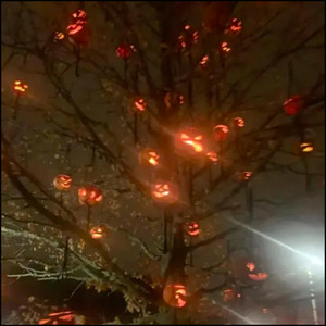 Halloween by 9lone!, L0N3LY.mp4