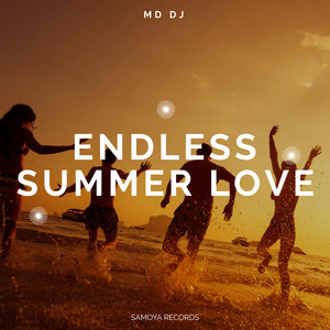DJ SHARPNEL プレス盤 Endless Summer