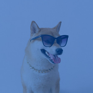 Music for Doggy Chill Time - Wicked Chill Out album