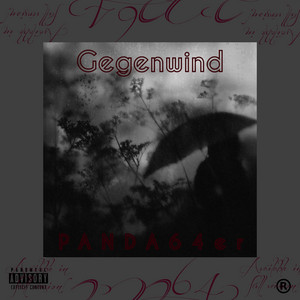 Gegenwind by PANDA64er