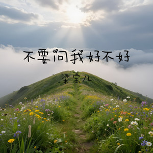不要问我好不好 by 梁宝儿