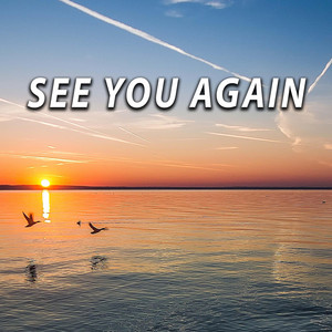 Guus Dielissen - See You Again (Acoustic Instrumental)