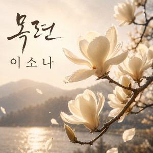 Magnolia by Lee So Na