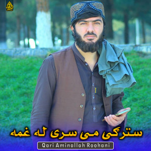 Qari Aminallah Roohani - د ټنکی ارادی خلګ یو