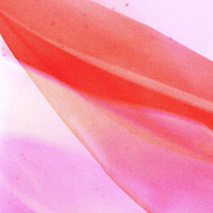 Sway by birdtunes