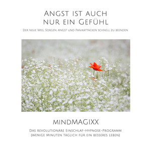 Angst ist auch nur ein Gefühl: Der neue Weg, Sorgen, Angst und Panikattacken schnell zu beenden (Soforthilfe bei Herzklopfen, Phobien, Panik & Co.)