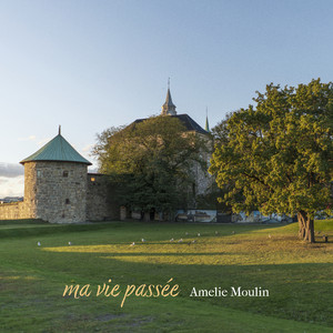 forme de toi by Amelie Moulin
