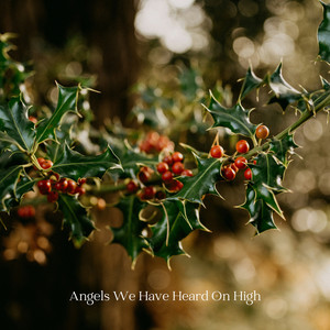 Angels We Have Heard on High