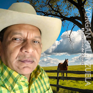 Aqui Estoy Hecho Coplero by Yorgan Palenzuela El Tucusito de Zaraza