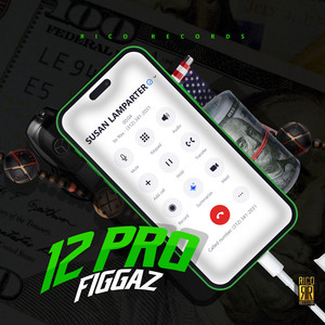 12 Pro by Figgaz
