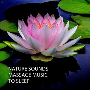 Nature Sounds: Massage Music To Sleep album