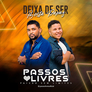 DEIXA DE SER BESTA