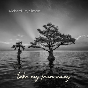 Take My Pain Away by Richard Jay Simon