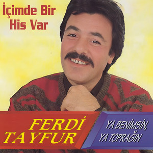 Ferdi Tayfur - Bir Yabancı Gibi