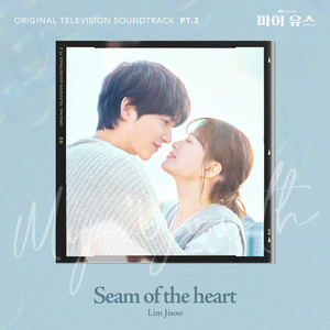 Seam of the heart by Lim Ji Soo