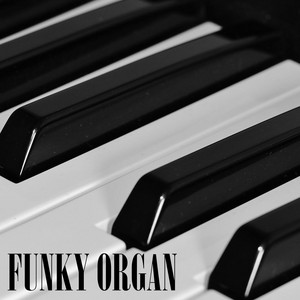 Funky Organ by Luari Album Cover
