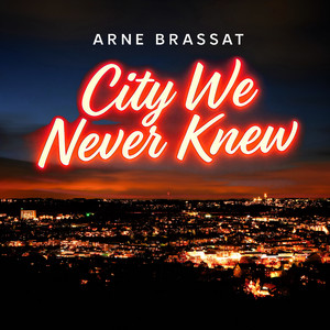 City We Never Knew by Arne Brassat