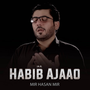 Mir Hasan Mir - Habib (A.S) Ajaao