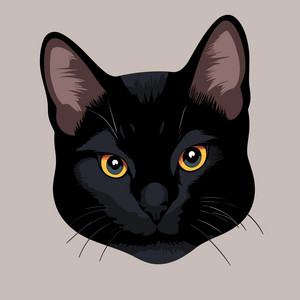 洋楽 Qyiet Cat Modern Quiet Cat - song and lyrics by Cat Music Studio | Spotify