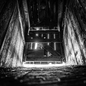 album cover: Dust From Dust
