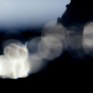 Nashi Plum by Headland