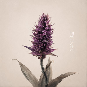 間違いだらけの by CAIKI, Monday Dirty Jokes