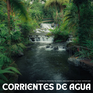 Corrientes De Agua: La Música Perfecta Para Encontrar La Paz Interior album