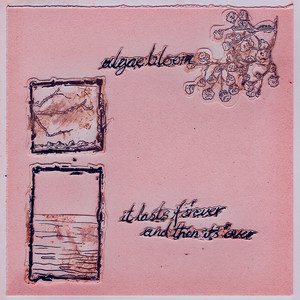 life in blight by Algae Bloom