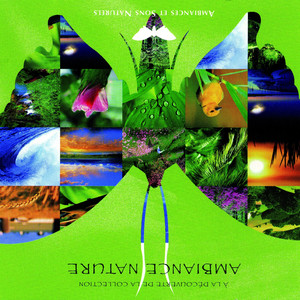 In the Air & Ambiance Nature - Oiseaux