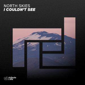I Couldn't See by North Skies