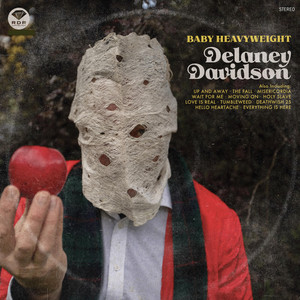 Everything Is Here by Delaney Davidson, Heather Webb