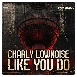 Like You Do - Radio Edit by Charly Lownoise