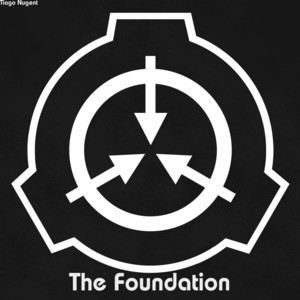 The Foundation