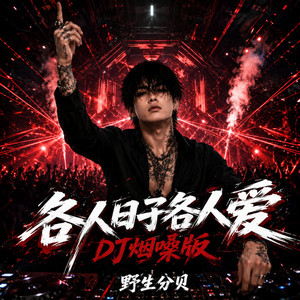 各人日子各人爱(DJ烟嗓版) by 野生分贝