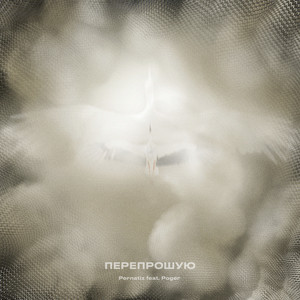 Перепрошую
