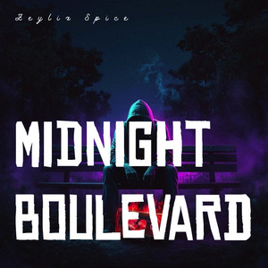 Midnight boulevard by Zeylix Spice
